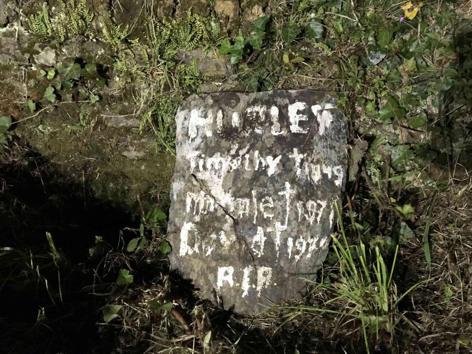 Templebreedy 1949 Hurley Timothy